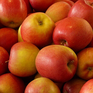 Familien, Vereine und Firmen profitieren von attraktiven Rabatten und lernen gemeinsam schneller. Lernen wird zur Verbindung, Fortschritt wird sofort sichtbar. Am Ende steht individuelles Ergebnis: Ein roter, gesunder Apfel, gereift durch gemeinsames Wachstum.