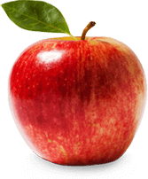 Zoja-Aegerter-Academy-Gruppenkurse-familien-vereine-firmen