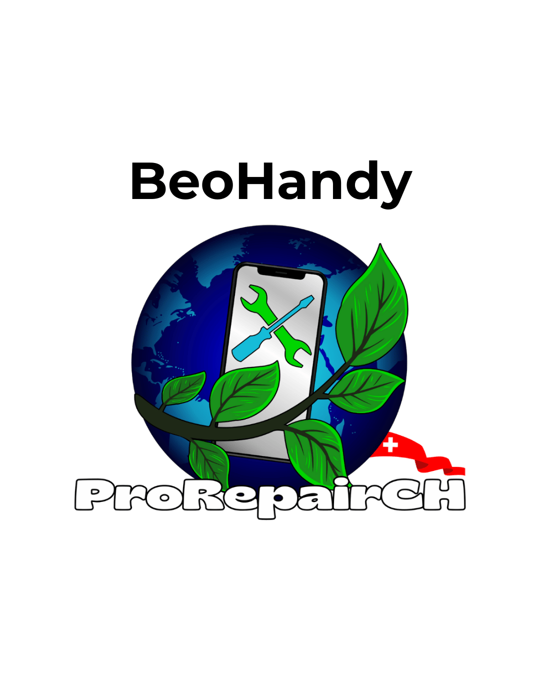 BeoHandy-ProRepairCH